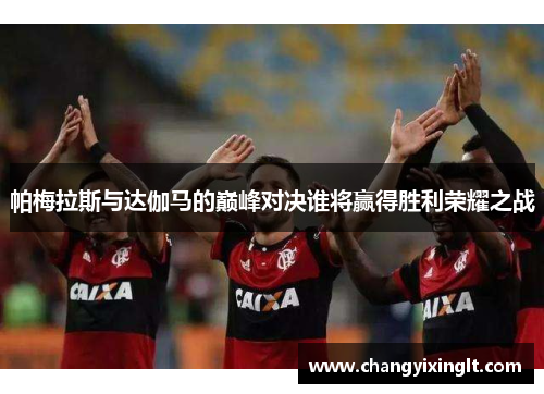 帕梅拉斯与达伽马的巅峰对决谁将赢得胜利荣耀之战